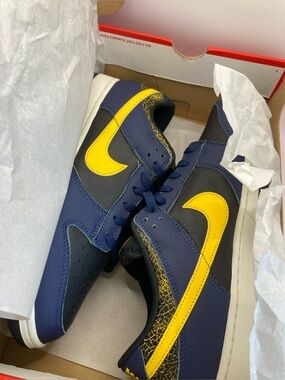 Nike Dunk Low Retro M12.5 (NIB)
